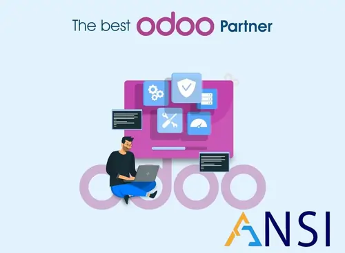 Odoo Customization and Support Guide for USA ERP Teams